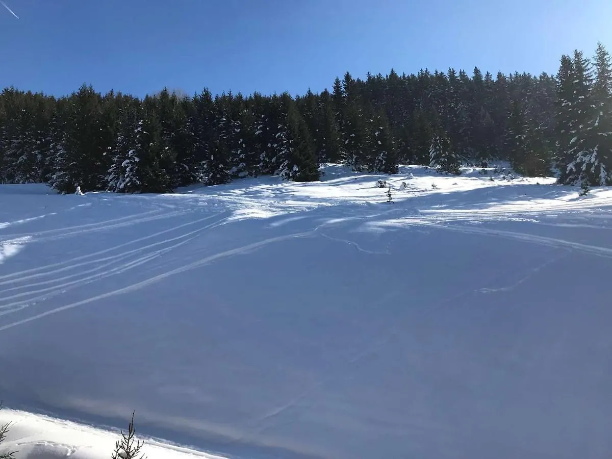Courchevel 1650 - Apt 6 Pers, 3 Ch, Skis Aux Pieds, Parking, Wifi - Fr-1-631-174 0*,  France